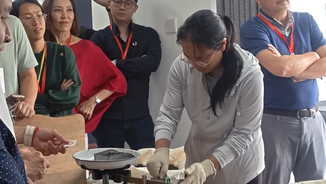 万里归乡寻茶韵 海外侨胞体验非遗沱茶制作 #在大理爱上生活 #沱茶 #海外侨胞 #大理非遗