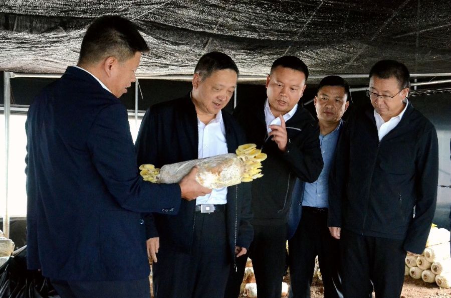 杨国宗调研州属国有企业改革发展工作时强调 强化责任担当 深化改革创新 全力推动国有企业高质量发展