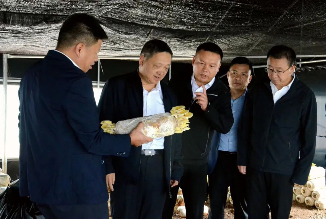 杨国宗调研州属国有企业改革发展工作时强调 强化责任担当 深化改革创新 全力推动国有企业高质量发展