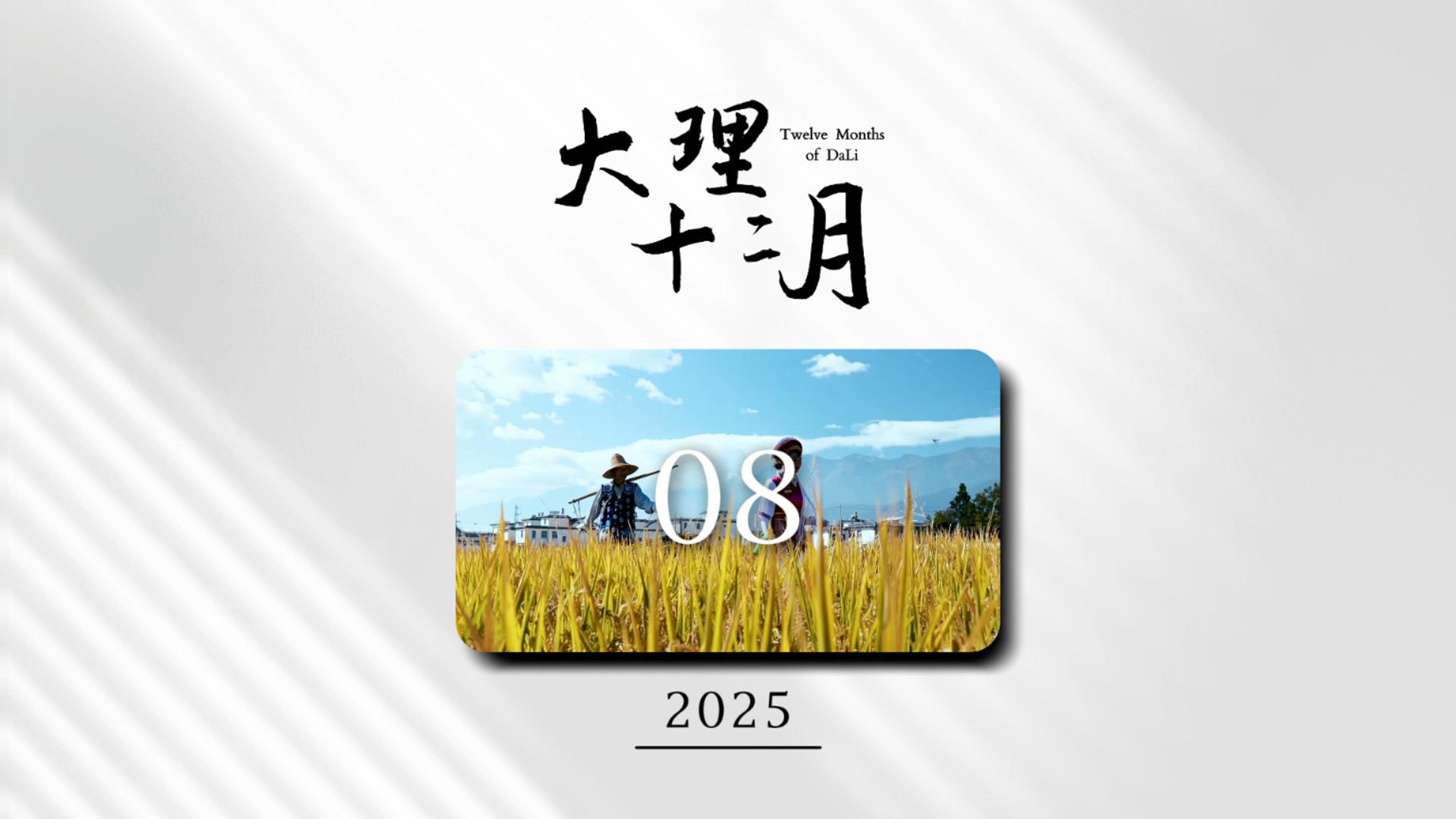#在大理爱上生活 大理十二月——八月 #旅居大理品味乡愁 #这里是大理 #大理十二月