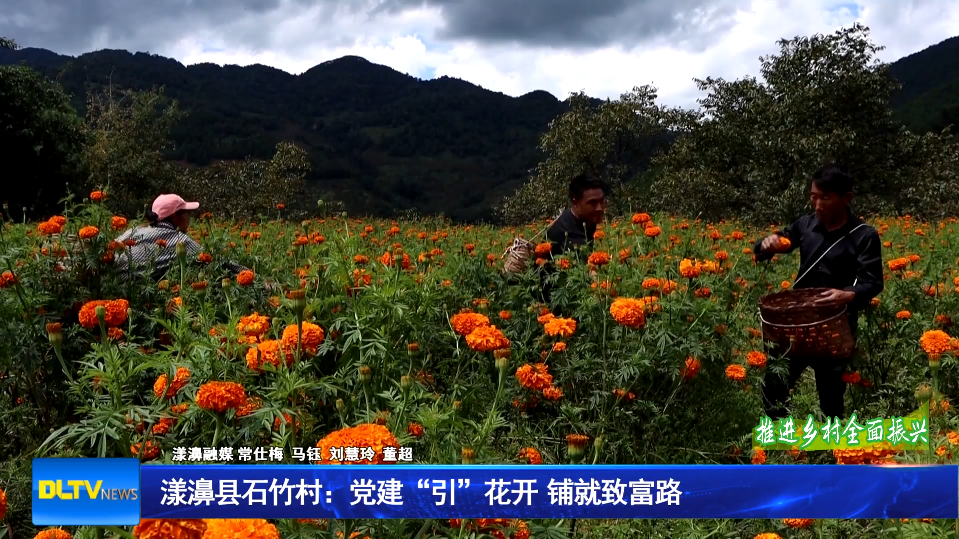 漾濞县石竹村：党建“引”花开  铺就致富路
