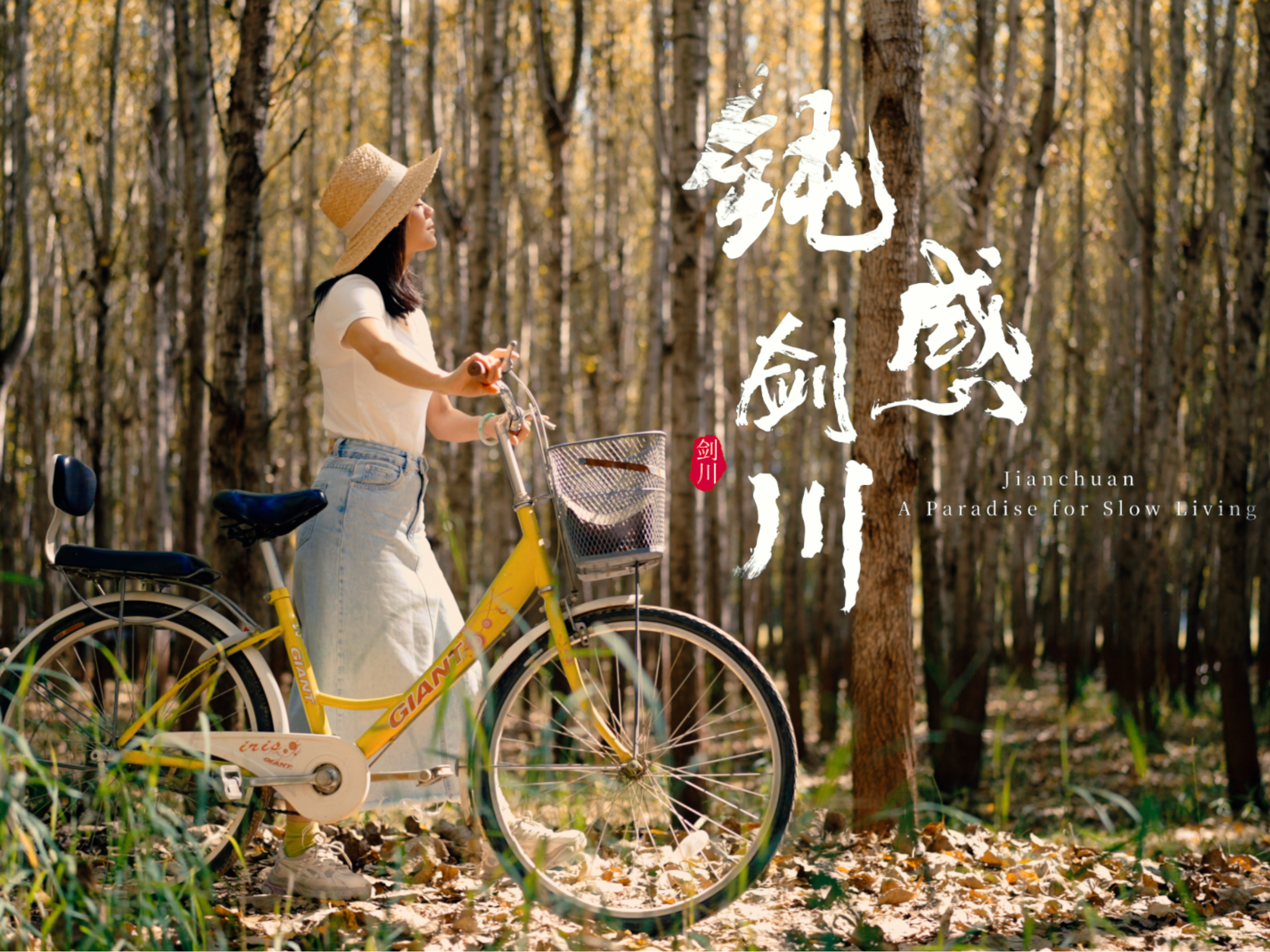 剑川的“钝感力”，来自于一座“文献名邦”的底气。#在大理爱上生活 #旅居大理品味乡愁 #ThisisDaLi #山海欢歌 #石宝山歌会节