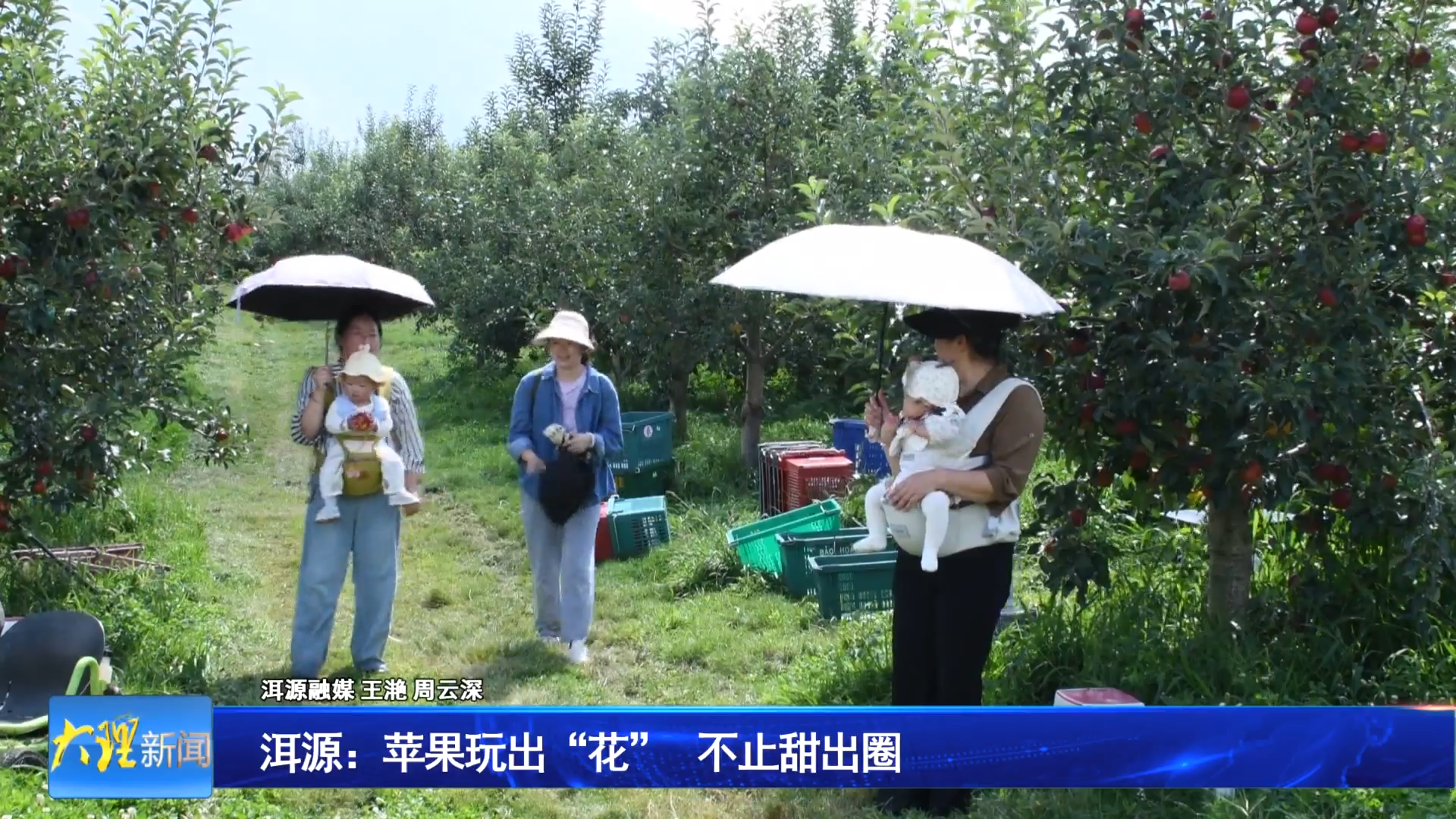 洱源：苹果玩出“花” 不止甜出圈
