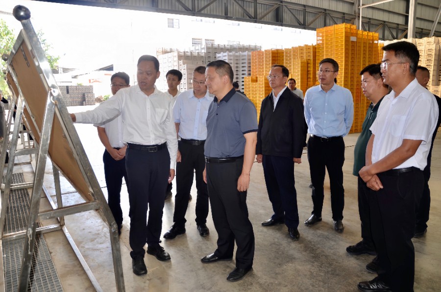 9月17日，杨国宗一行在宾川县宾杰农副产品有限责任公司走访，调研特色水果产业发展情况_proc.jpg
