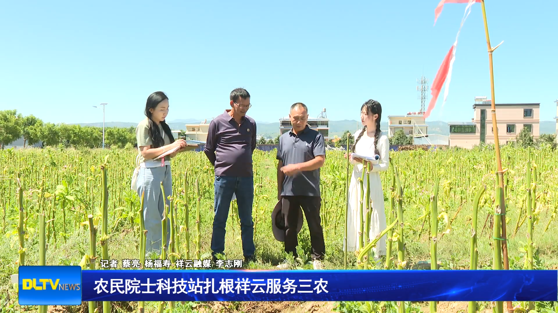 农民院士科技站扎根祥云服务三农
