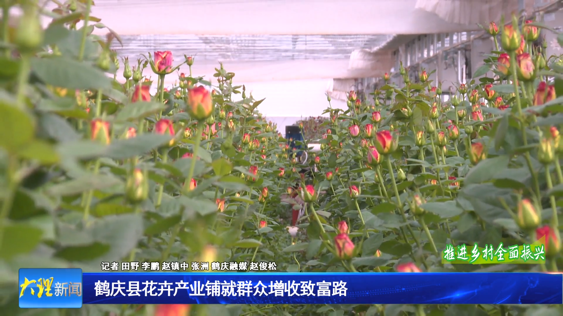 鹤庆县花卉产业铺就群众增收致富路