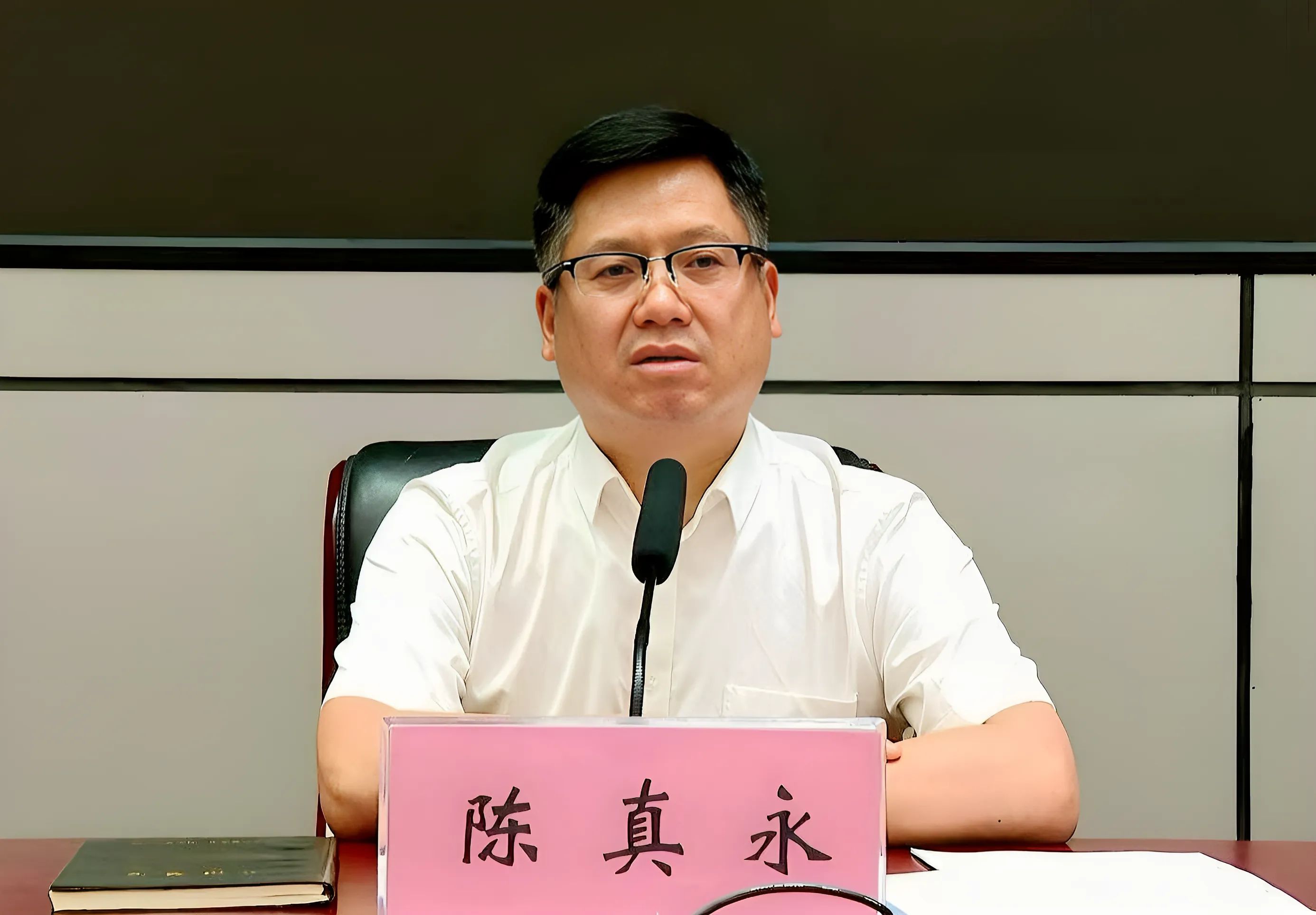 陈真永出席会议并讲话。_proc_副本.jpg
