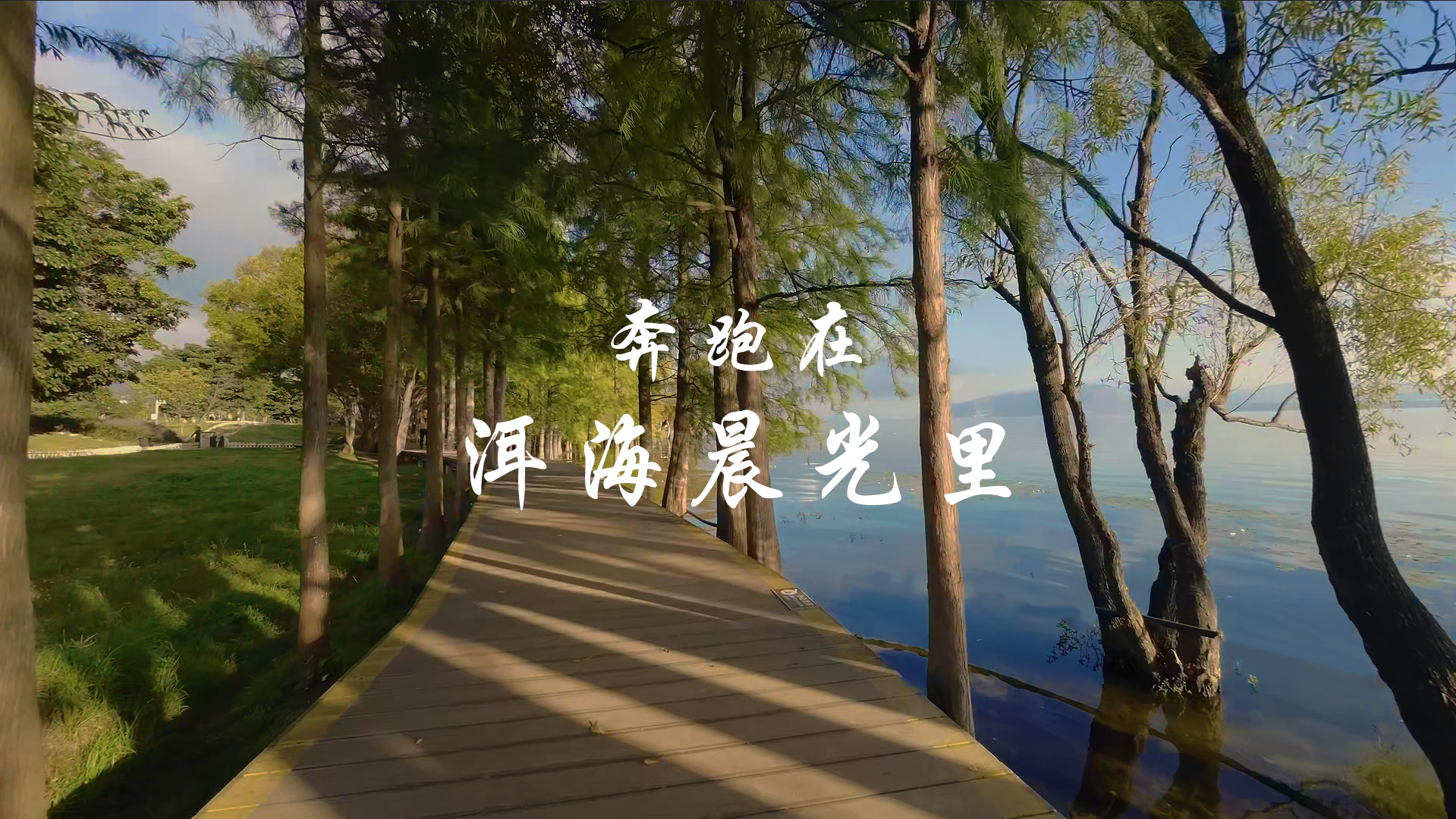 #在大理爱上生活 奔跑在洱海晨光里#这里是大理 #旅居大理品味乡愁