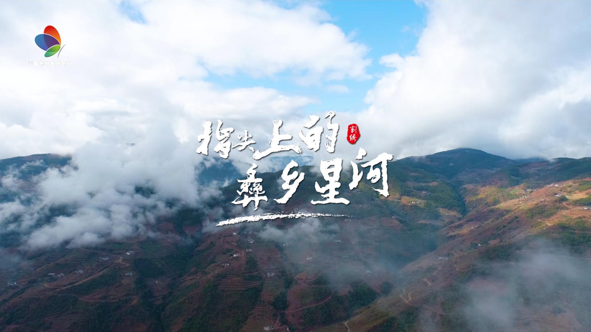 针尖绣出彝乡星河，一针一线皆是自然与祈愿。#在大理爱上生活 #彝族刺绣 #大理非遗