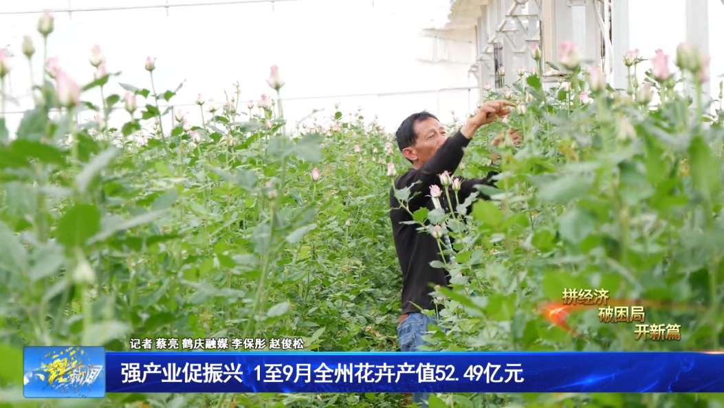强产业促振兴   1至9月全州花卉产值52.49亿元 