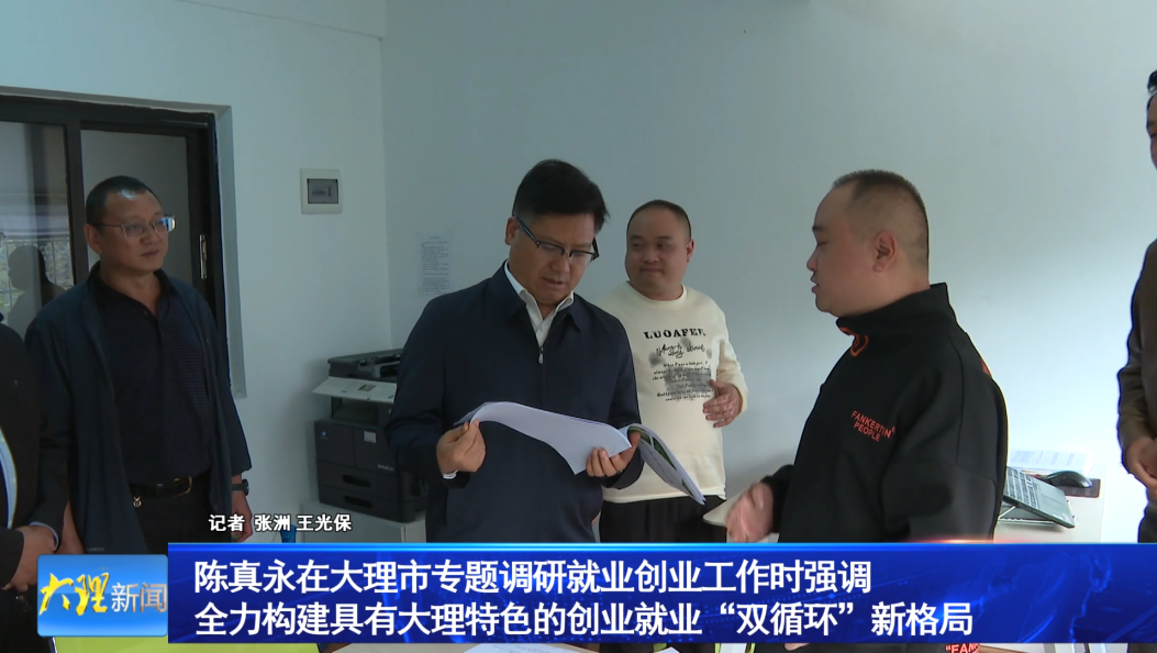陈真永在大理市专题调研就业创业工作时强调               全力构建具有大理特色的创业就业“双循环”新格局