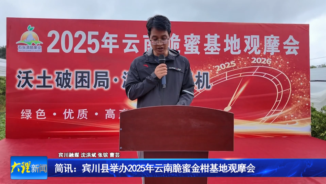 简讯：宾川县举办2025年云南脆蜜金柑基地观摩会