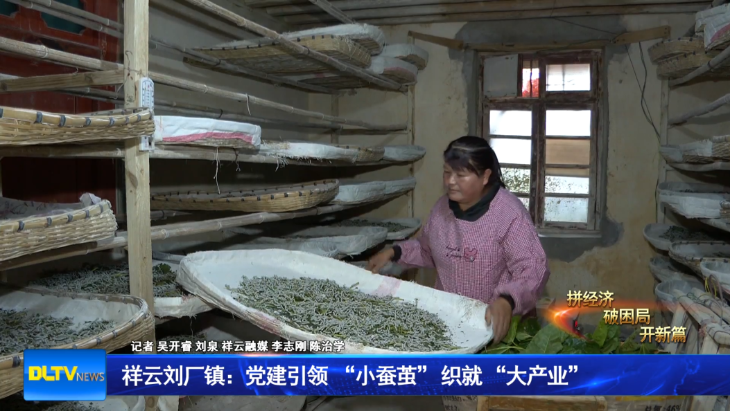 祥云刘厂镇：党建引领  “小蚕茧” 织就 “大产业”