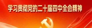 学习贯彻党的二十大四中全会精神
