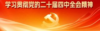 学习贯彻党的二十届四中全会精神