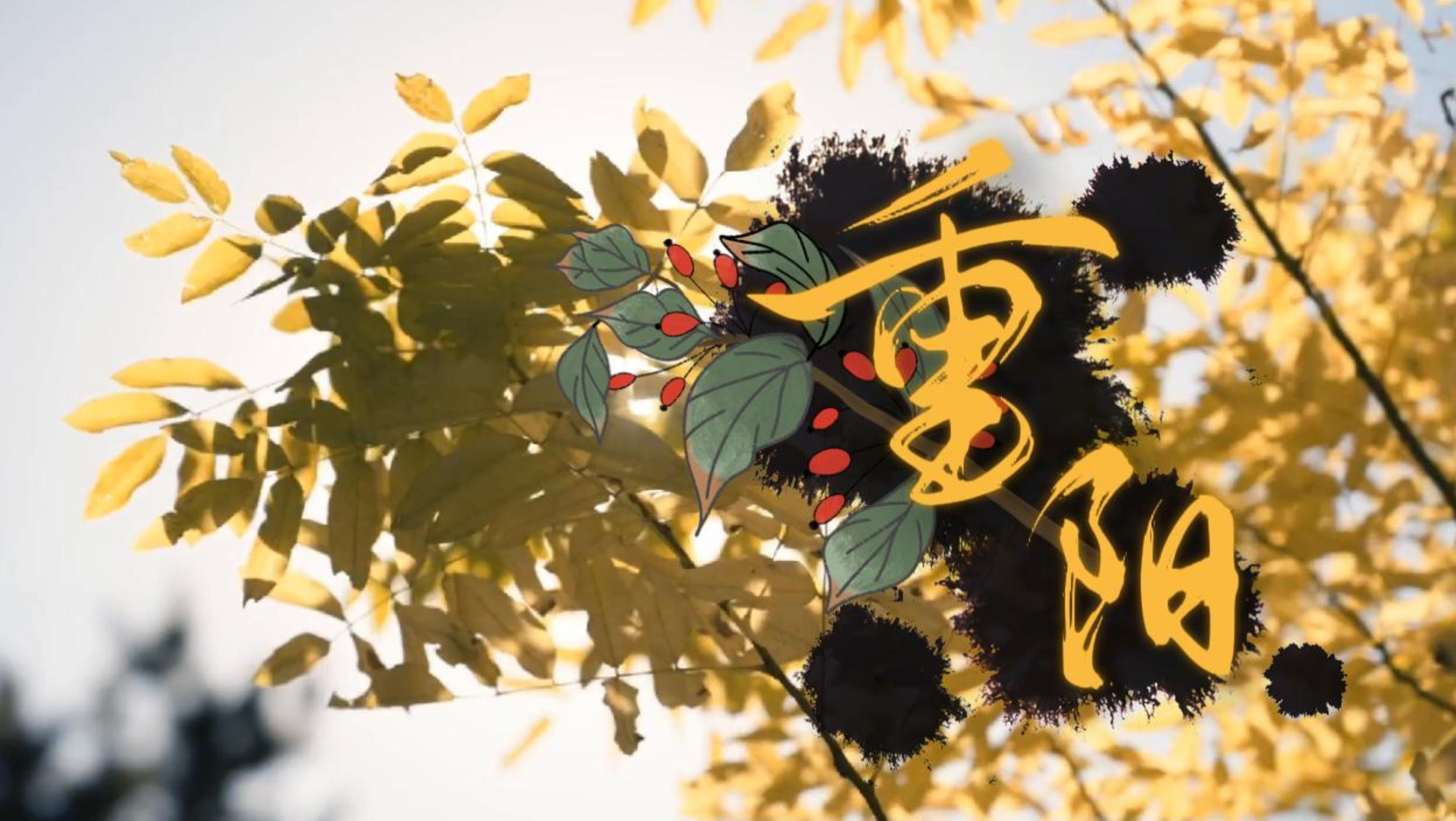 #在大理爱上生活 九九重阳 时光能缓 故人不散 #重阳节 #这里是大理 #旅居大理品味乡愁