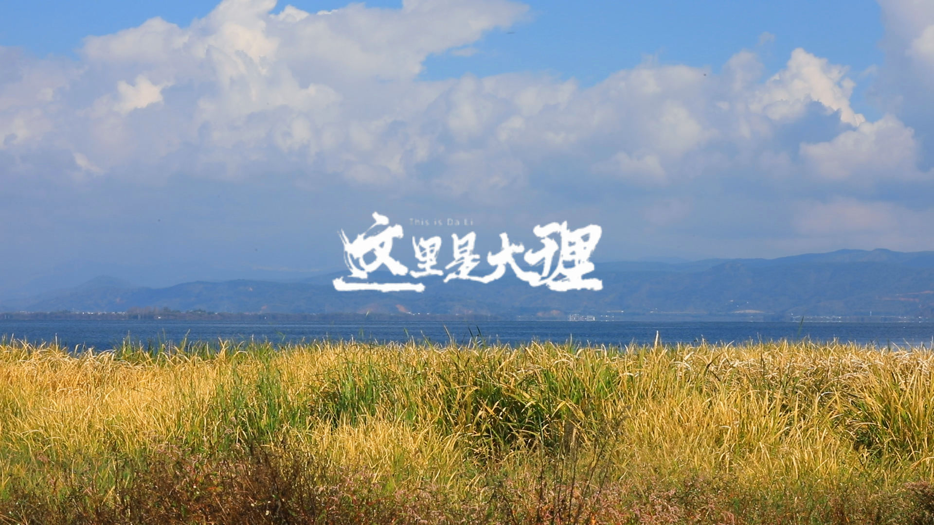 #在大理爱上生活 沉浸在大理静谧的深秋#这里是大理 #旅居大理品味乡愁