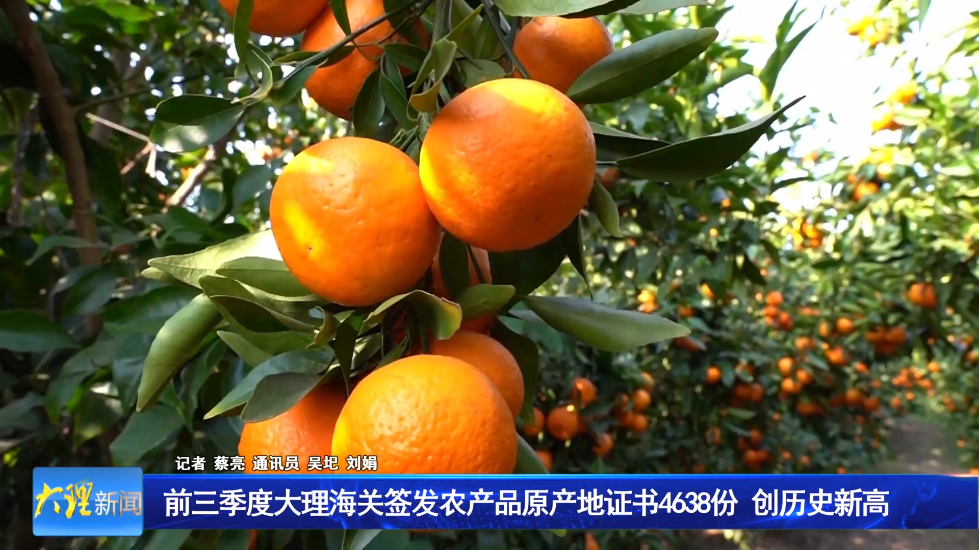 前三季度大理海关签发农产品原产地证书4638份 创历史新高
