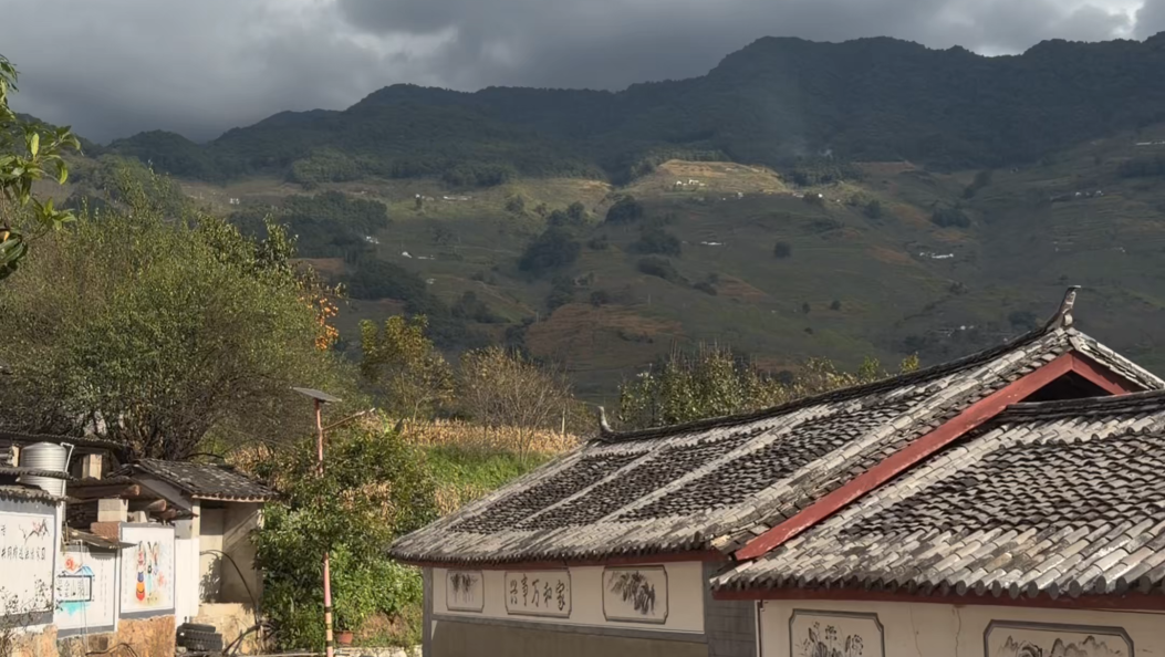 走基层 看发展 村民自治打造绿美宜居乡村#绿美大理 #美丽乡村 #乡村振兴