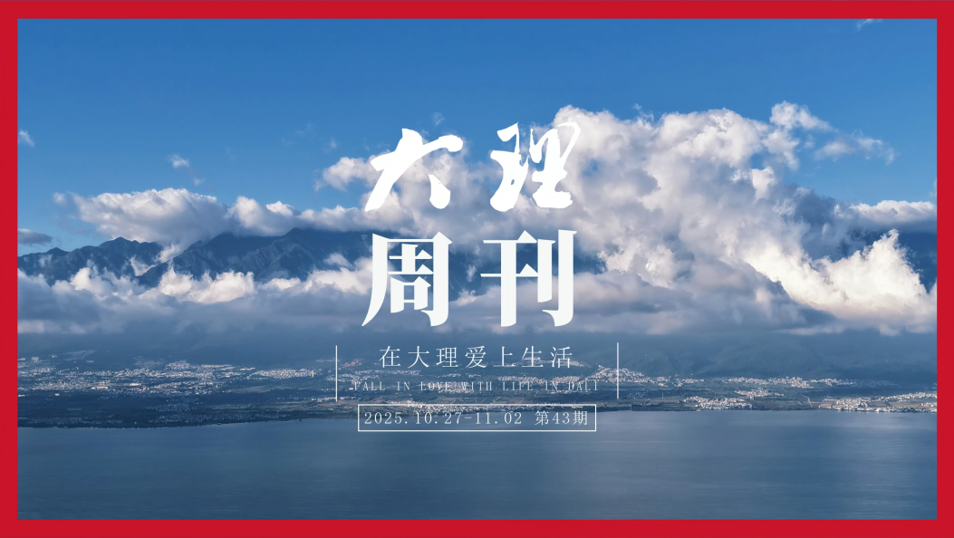 旅居大理，冬日将至，银杏渐黄，北鸥南飞，期待下期再会！#在大理爱上生活#人类心灵栖居地#大理周刊
