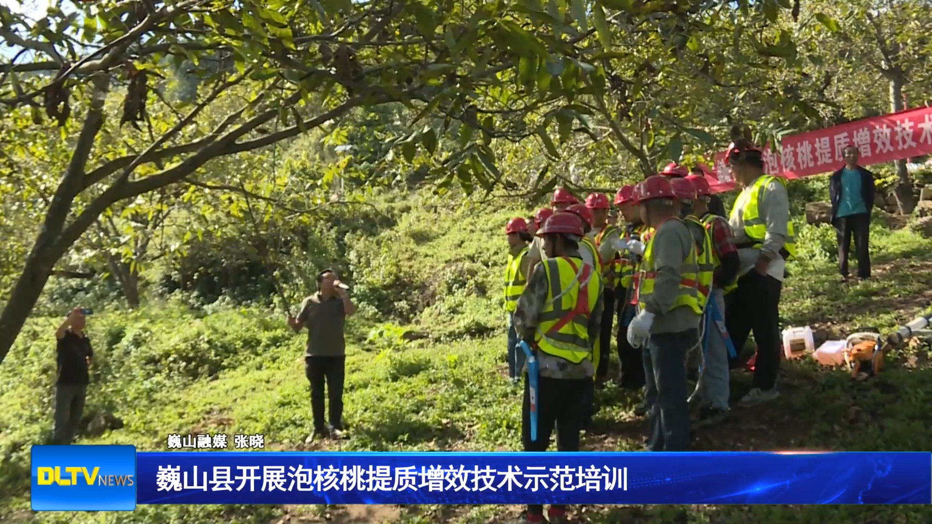 巍山县开展核桃提质增效技术示范培训