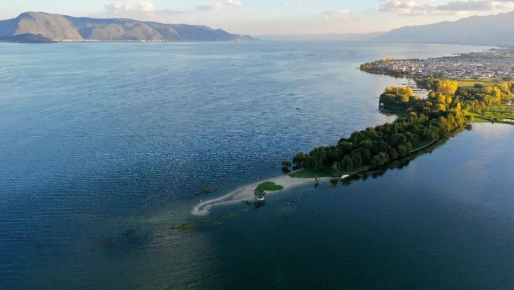 秋日里的海舌，到底有多美？