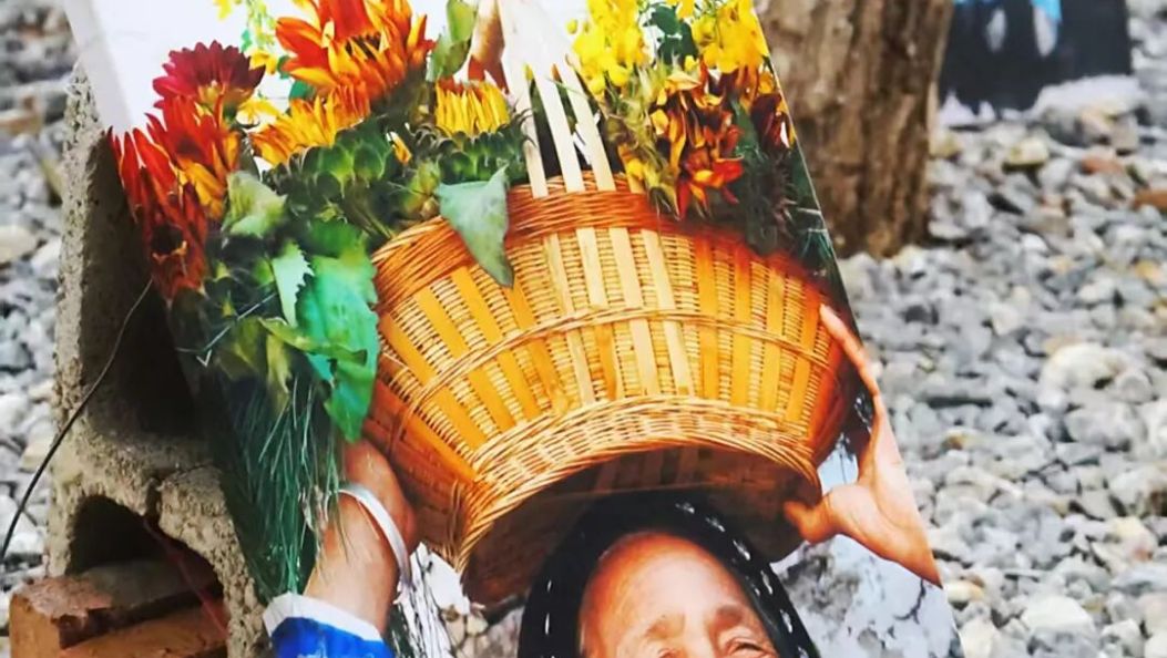 走，去凤羽百年银杏树下，看白族奶奶的C位主场！