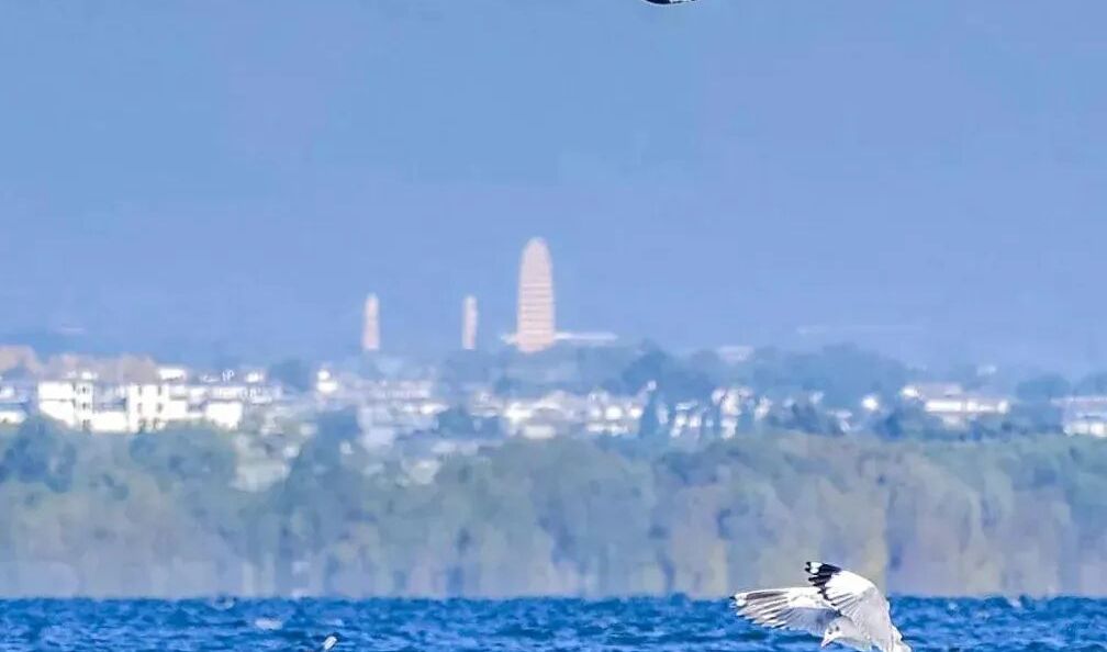 大理的AB面，你pick哪一面？