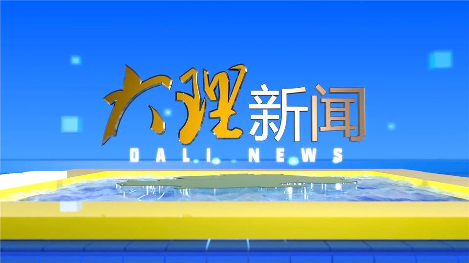 大理新闻20251114
