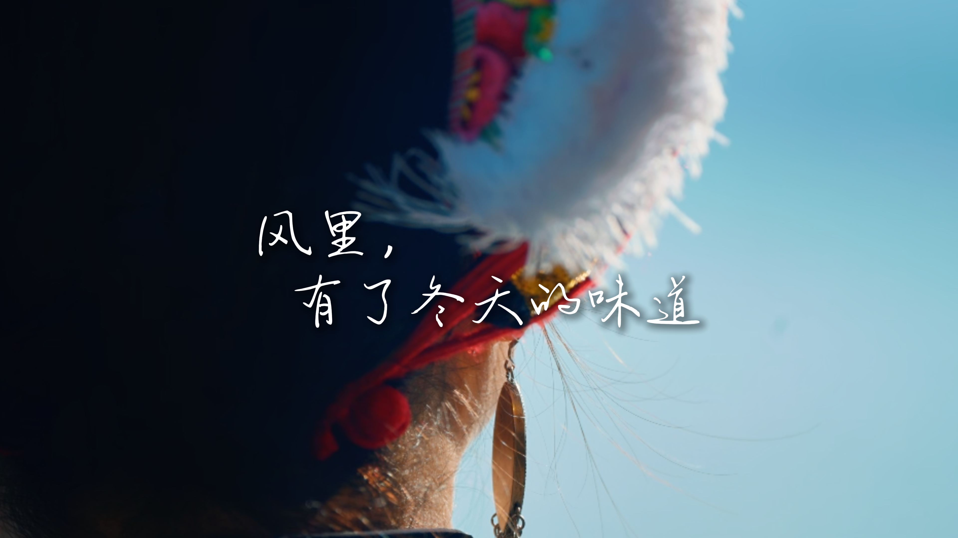 #在大理爱上生活 风里，有了冬天的味道 #这里是大理 #旅居大理品味乡愁