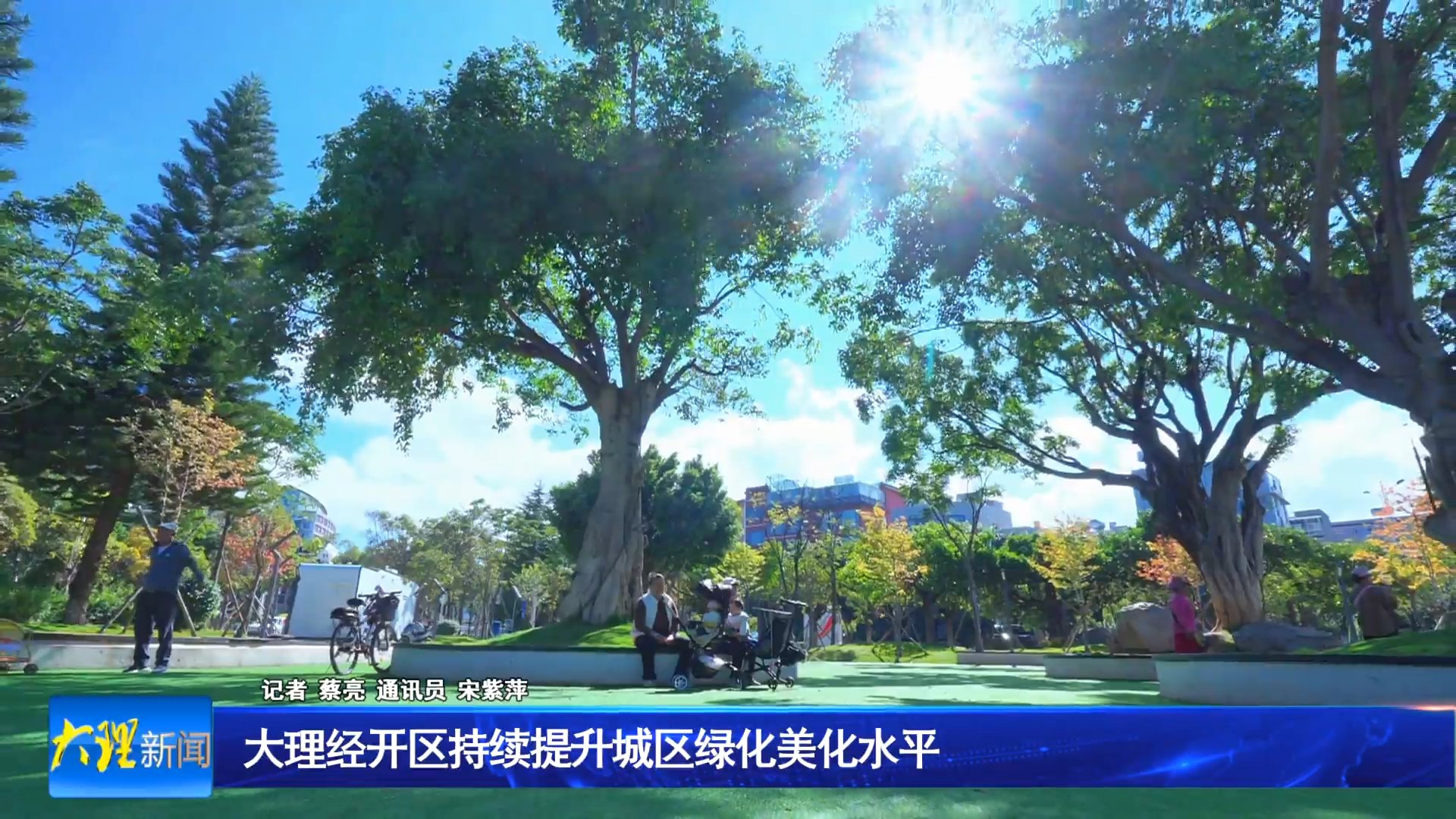 大理经开区持续提升城区绿化美化水平