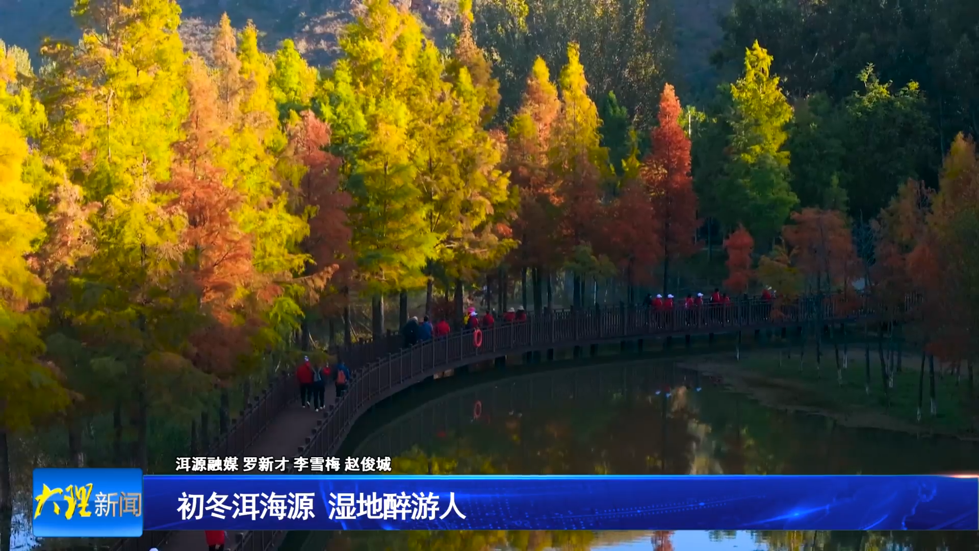 初冬洱海源   湿地醉游人