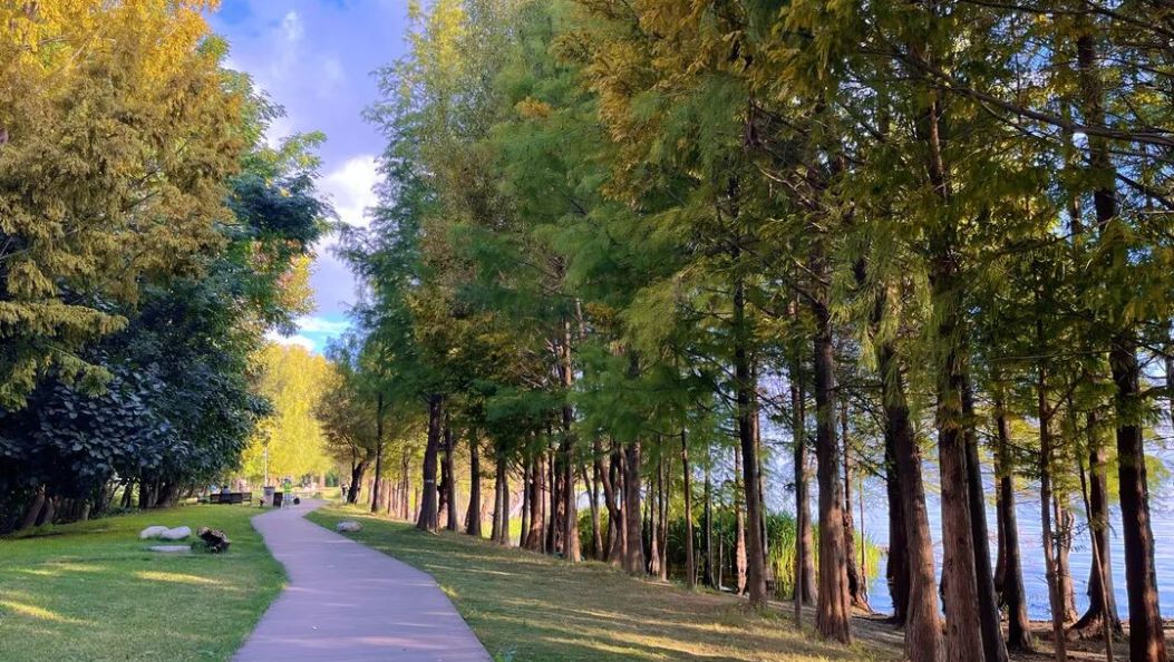 大理州负氧离子浓度、环境空气质量及洱海指数情况