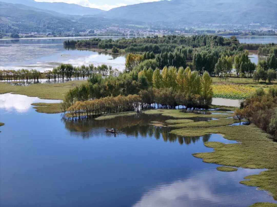 云南首个！剑湖国家重要湿地修复方案获批