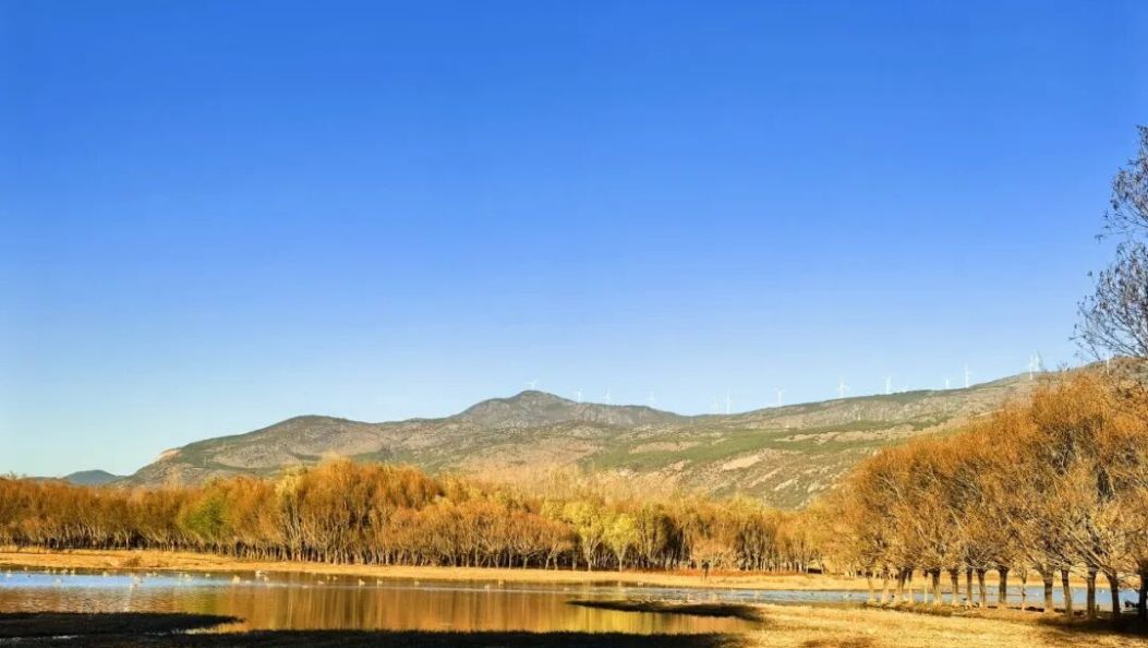 云南首个！剑湖国家重要湿地修复方案获批