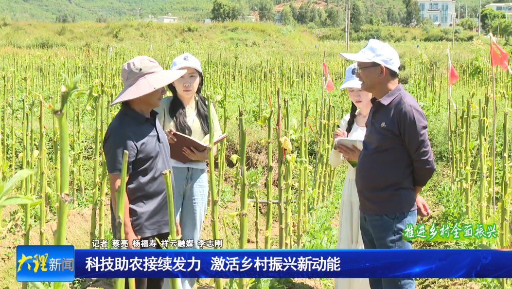 科技助农接续发力  激活乡村振兴新动能