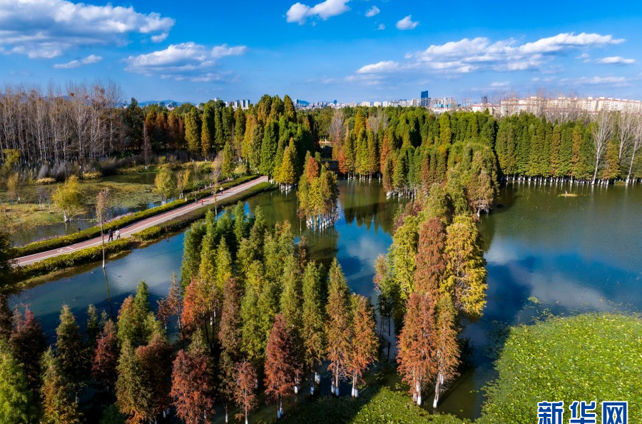 在昆明滇池北岸 看冬日美丽画卷