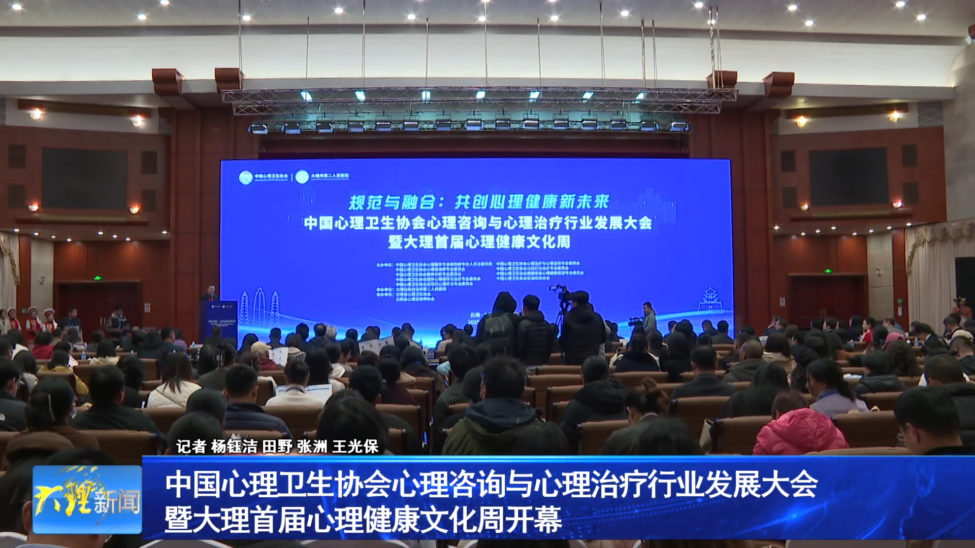 中国心理卫生协会心理咨询与心理治疗行业发展大会