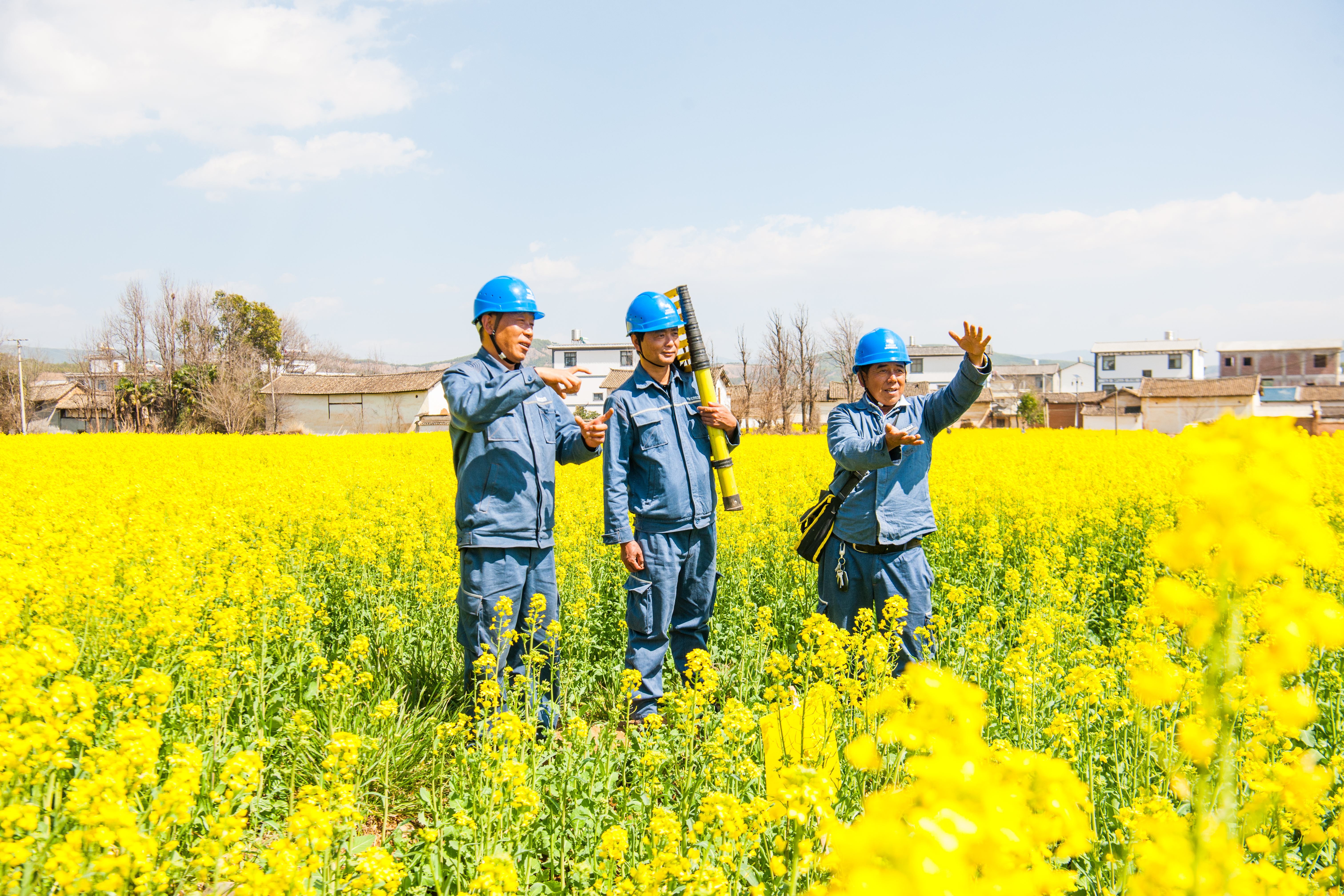 1764574915292905.jpg 图11.jpg