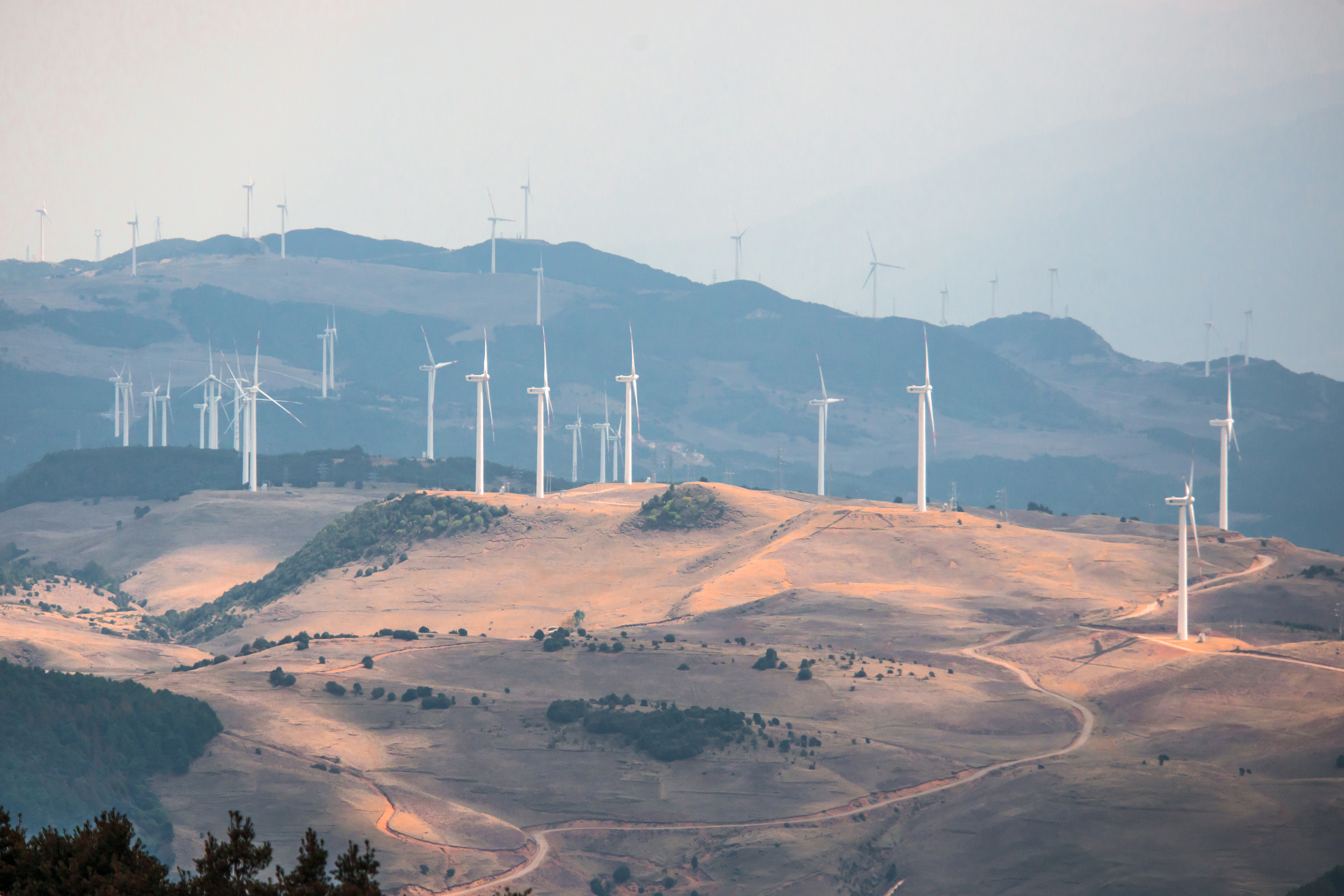 1764574936689269.jpg 图12.jpg