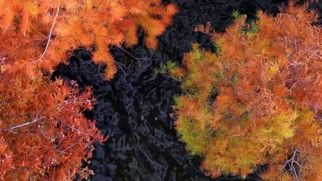 大理美好生活季｜苍山雪映·洱海月明 大理十二月活动盛宴邀您共度暖冬