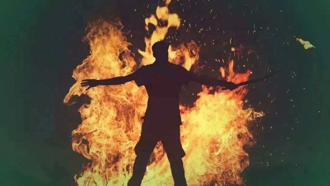 今天起，大理州进入森林草原防火期！