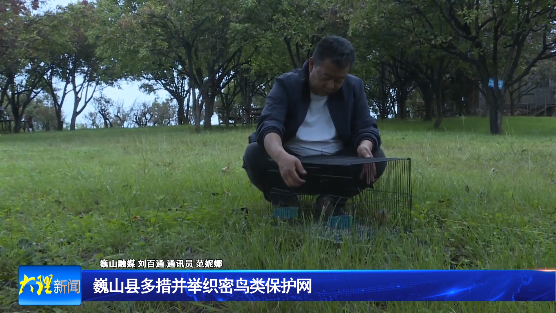 巍山县多措并举织密鸟类保护网