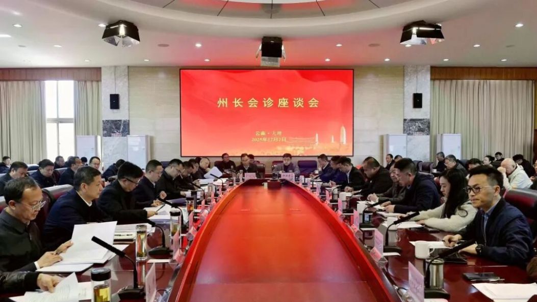 陈真永主持召开“州长会诊”座谈会并宣讲党的二十届四中全会精神时强调 政企同心强信心破难题 共绘大理高质量发展新图景