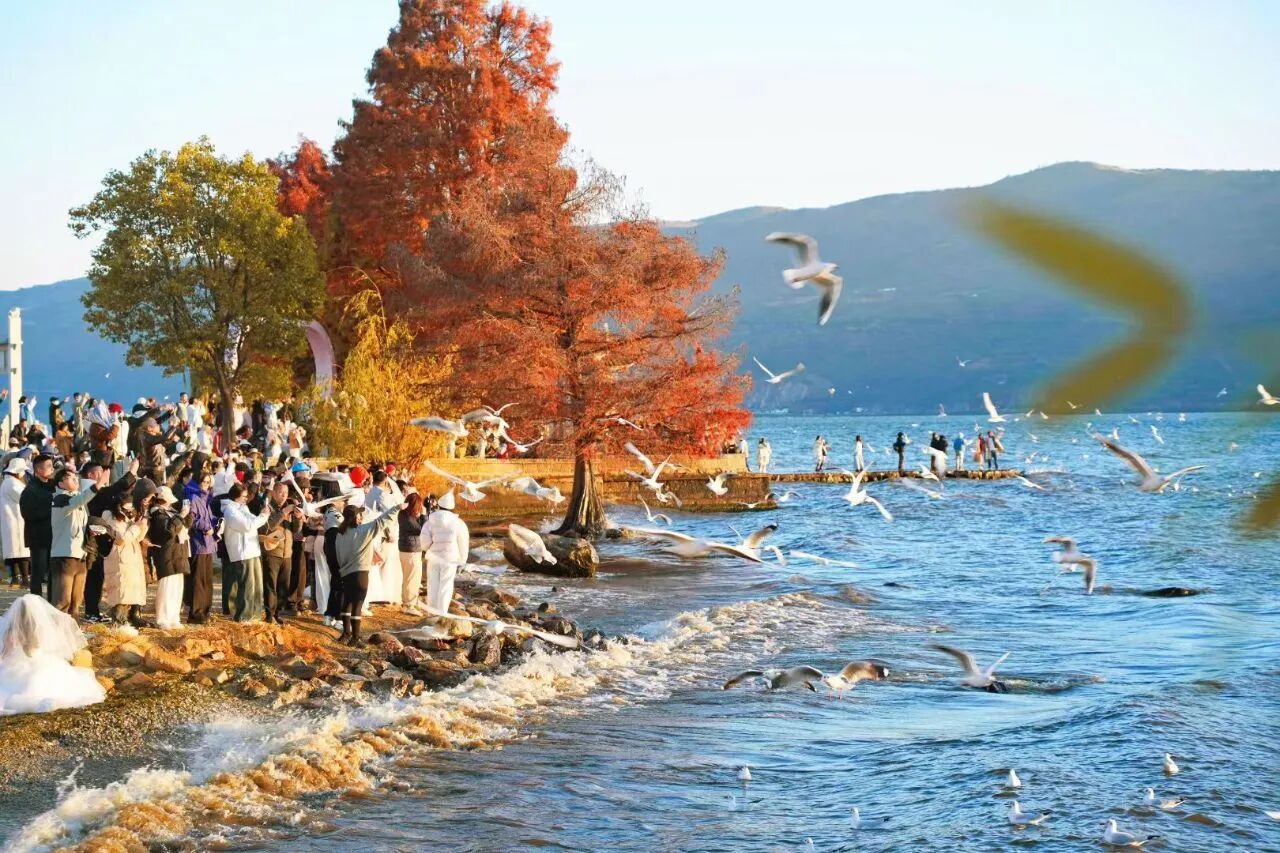 大理实现从“门票经济”到“生活经济、美丽经济”的跨越