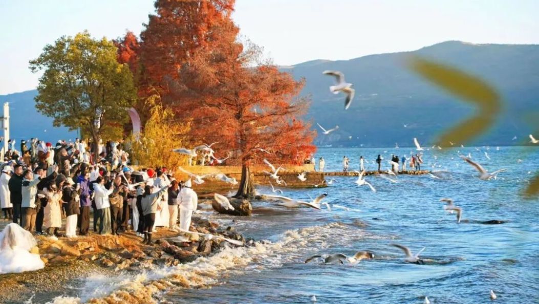 大理实现从“门票经济”到“生活经济、美丽经济”的跨越