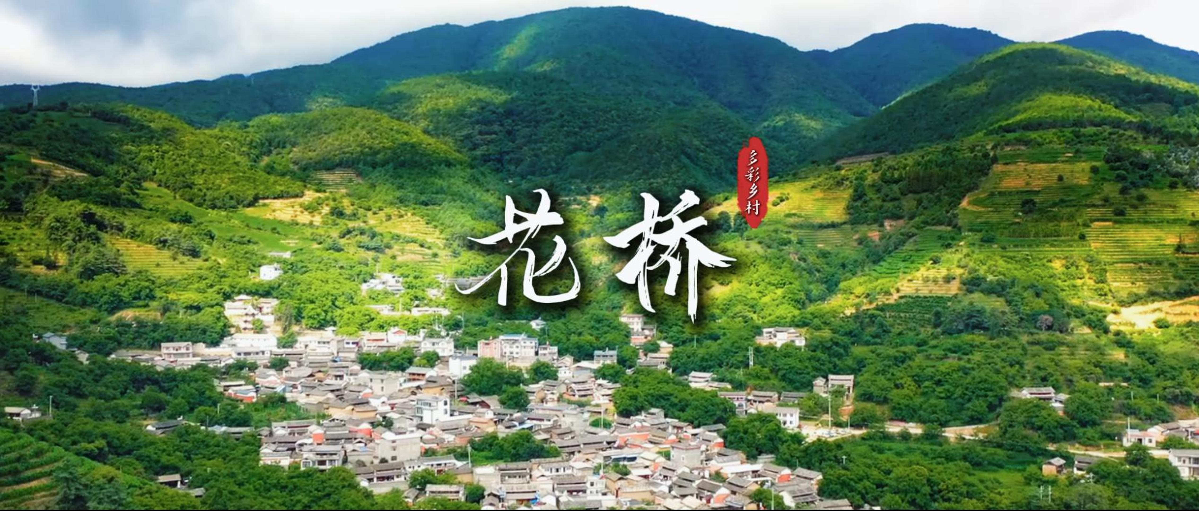 #在大理爱上生活  古道马铃声  花桥梅乡情  #这里是大理 #人类心灵栖居地