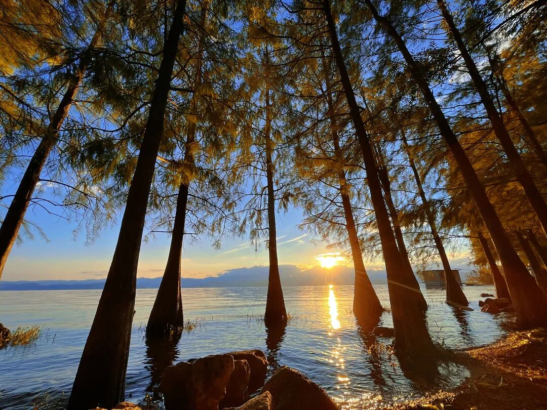大理州负氧离子浓度、环境空气质量及洱海指数情况