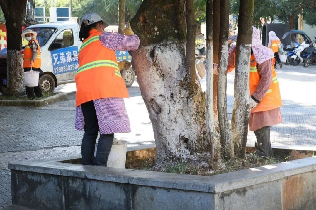 绿化美化 (2).JPG