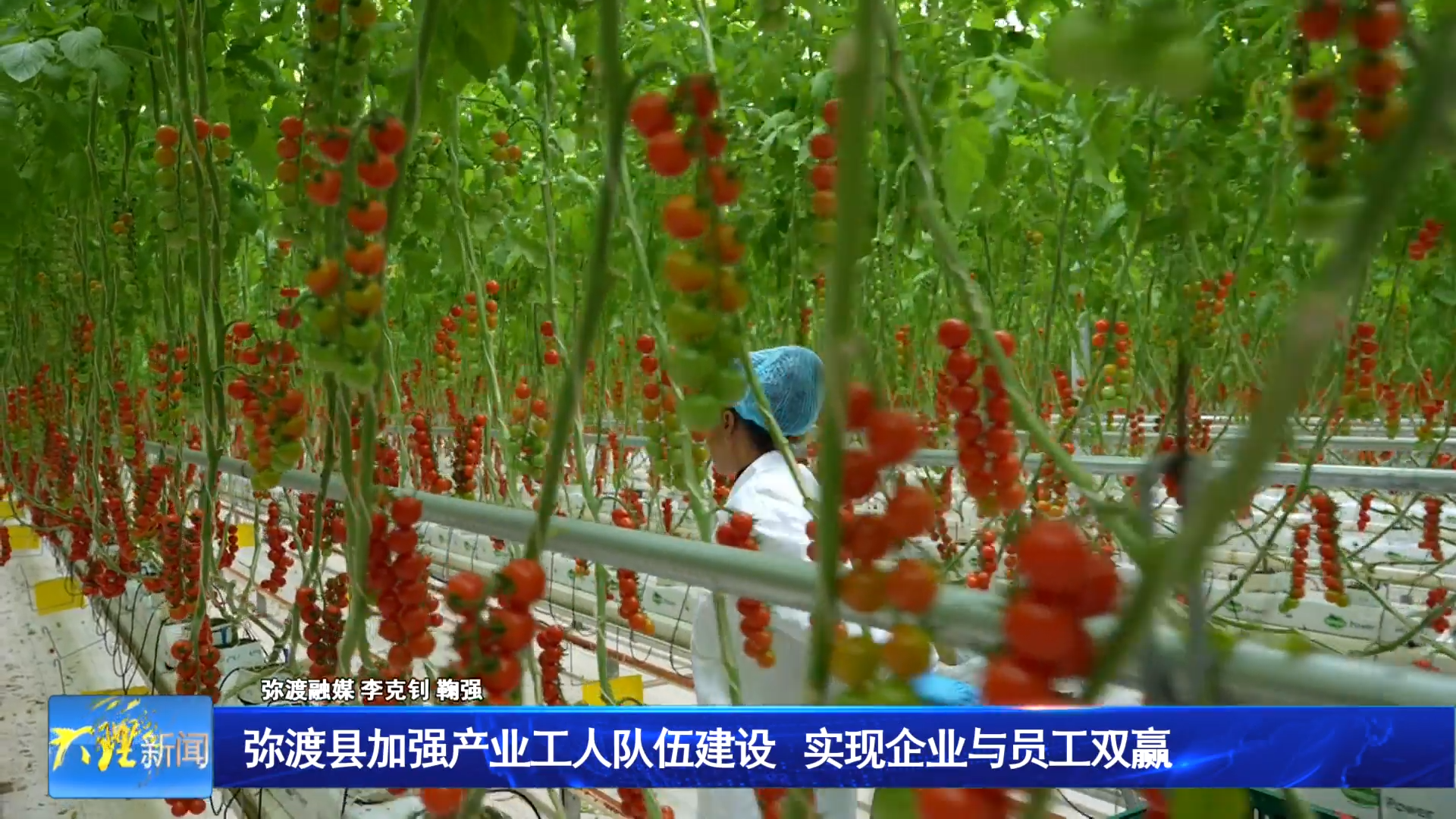 弥渡县加强产业工人队伍建设 实现企业与员工双赢